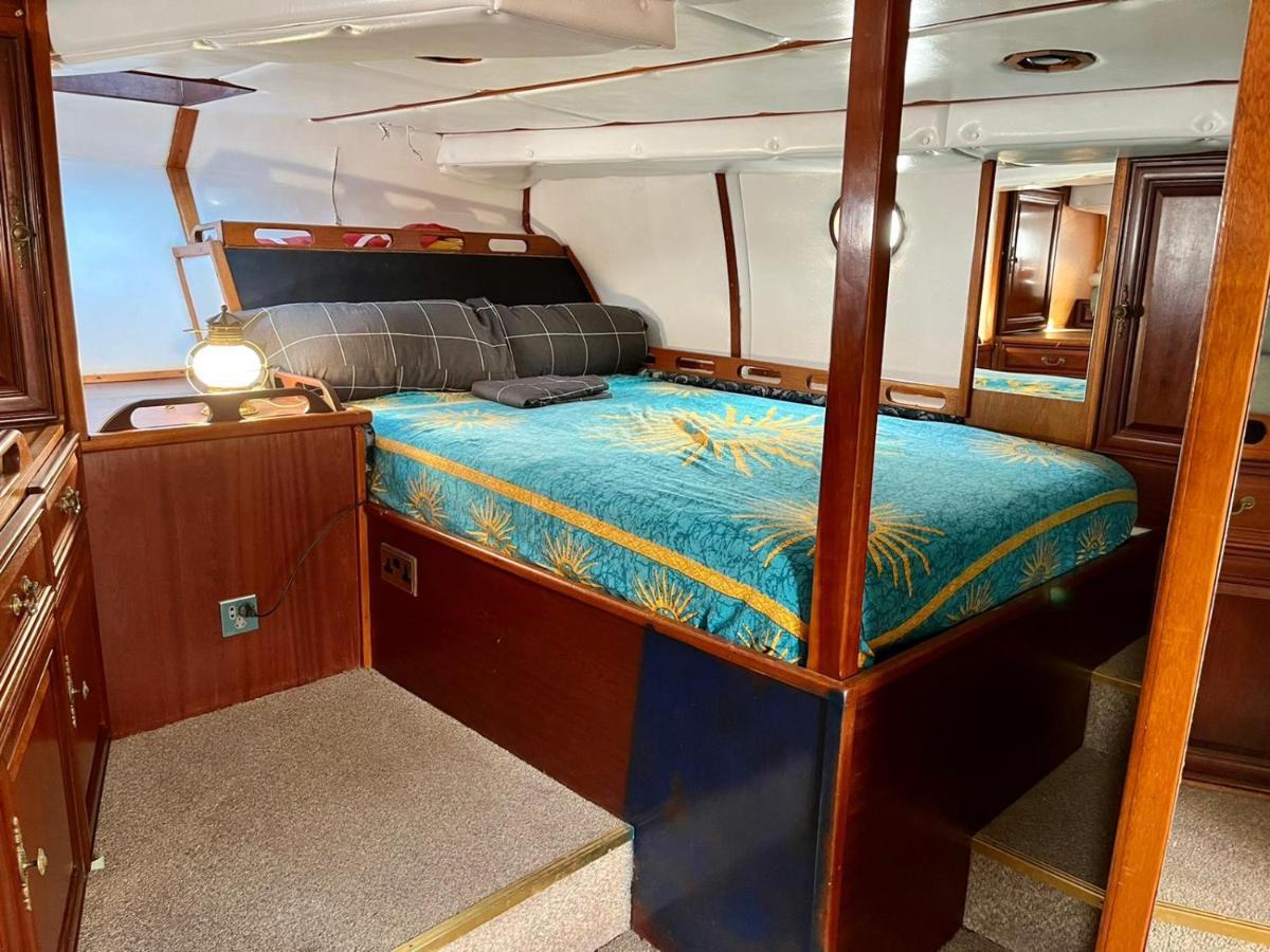 Salidas En Barco Otel Premiá de Mar Dış mekan fotoğraf